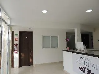 Hotel Shaddai بلايا ديل كارمن 2*,  المكسيك