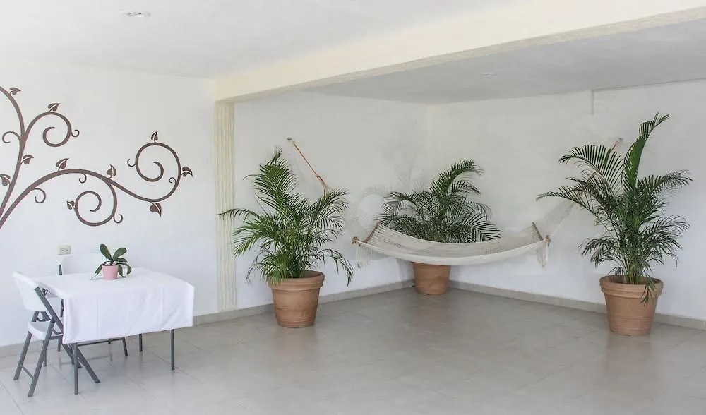 Hotel Shaddai بلايا ديل كارمن