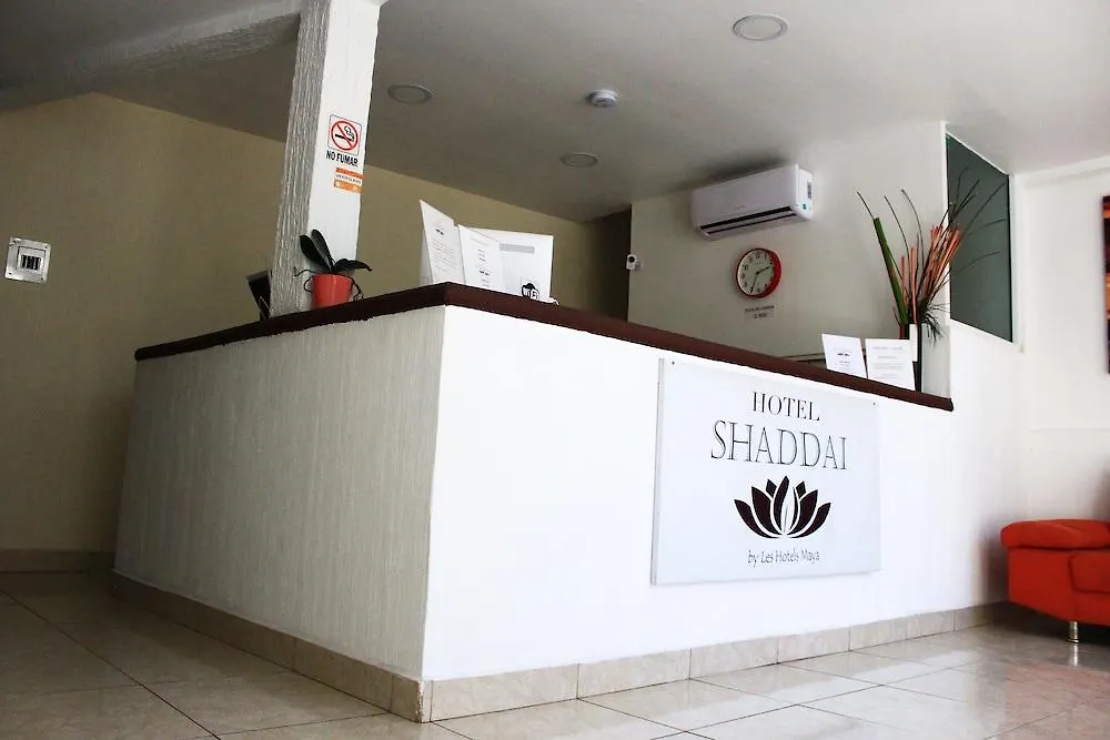 **  Hotel Shaddai بلايا ديل كارمن المكسيك